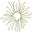Snapdragononline Icon