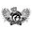 Flyathanaverage.com Icon