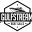 Gulfstream Marine Icon