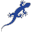 Geckowebsites.com Icon