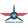 Raleigh-flyers Icon