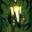Timetoblogwatches Icon