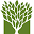 The Trees Remember Icon