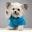 Norberthood Icon