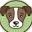 Northcoastpets Icon