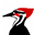 Northernwoodlands Icon