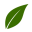 Ilapharm Icon