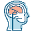 Anatomy Warehouse Icon