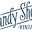 Candyshopvintage Icon
