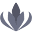 Silverlanterntea Icon
