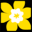 Cancer Icon