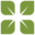 Littlechoicesmatter Icon