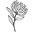 Art Of Skin Care Icon
