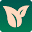 Nutriseed Icon