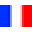 Maison des drapeaux Icon