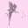 Fairynicetrading Icon