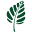 Onegreenplanet Icon