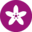 Neroliane Icon