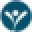 Piscineco Icon