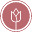 Irishflowers.ie Icon