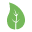 Phyto compagnon Icon