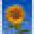 Organi-gro Icon