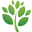 Mogomoringa.com Icon