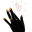 Winaretta Icon