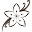 Issette Icon