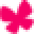 Zoli Icon