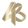 FasciaBlaster Icon