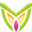 MexInsurance.com Icon