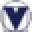 Vitruvien Icon