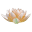 Mustidesigns Icon