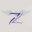 Zerogravitynky Icon