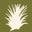 Air Plant Shop Icon