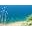Blisswithoutbother Icon