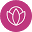 Citymomsblog Icon