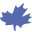 Maplelea Icon