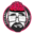 Braindegeek Icon