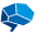 Neuroleadership Icon