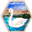 Swans Candles Icon