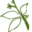 Nikkidesigns.ca Icon