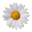 Daisiesandconkers.co.uk Icon
