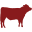 Nebraskastarbeef.com Icon