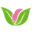 Amaraorganics Icon