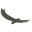 AndBeyond Icon