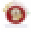PETfection Icon