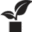 Organic Fiji Icon