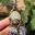 Forestspiritjewelry Icon